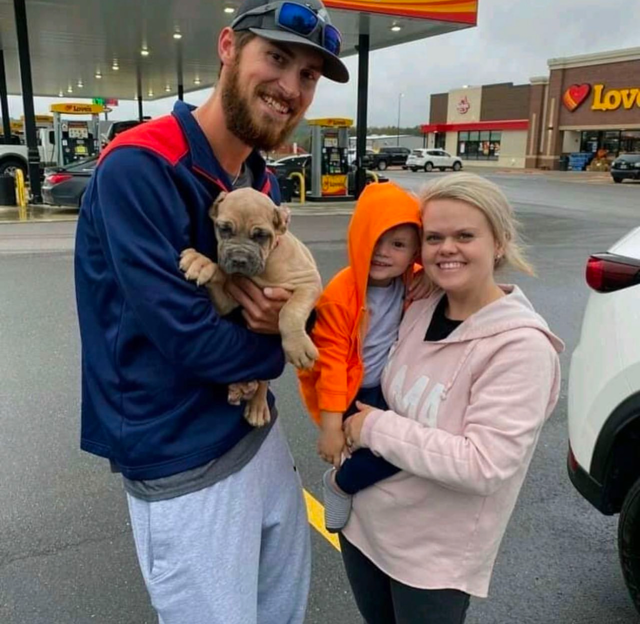 happy cane corso client